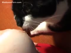 After nursing her cat, the wonderful mother is sexually aroused.